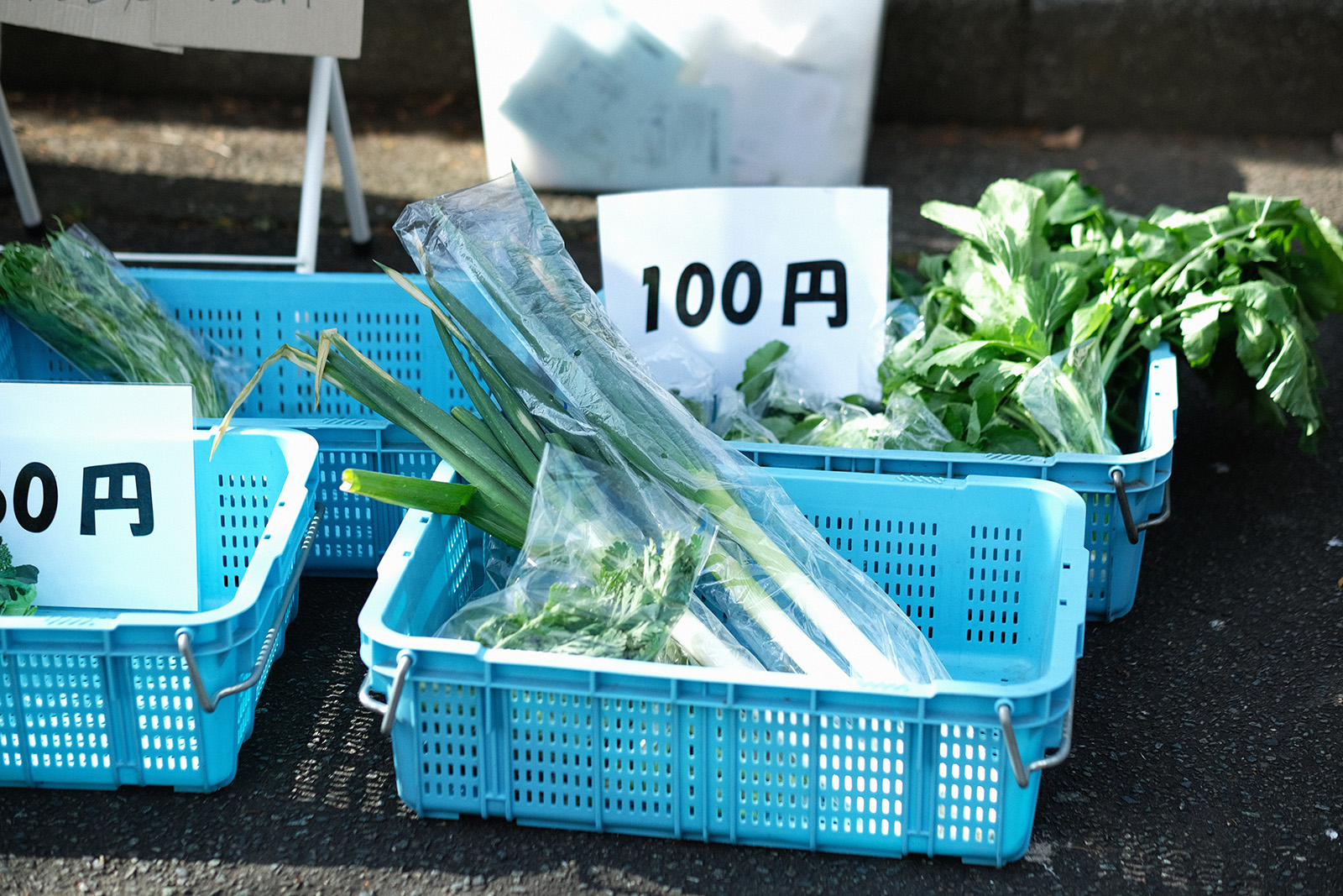 スコップ上飯田の泉区で採れた野菜